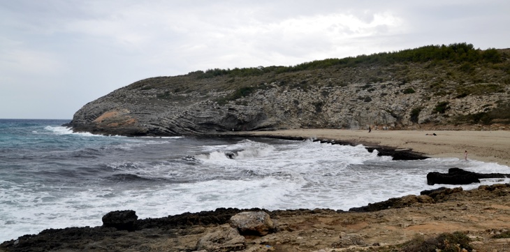 cala torta