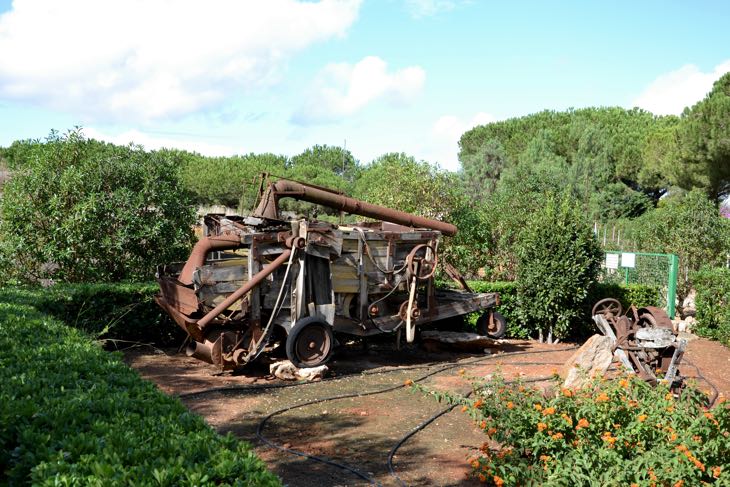 botanic garden mallorca