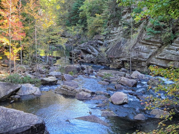 georgia autumn