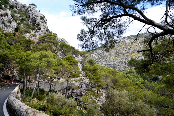 mallorca road