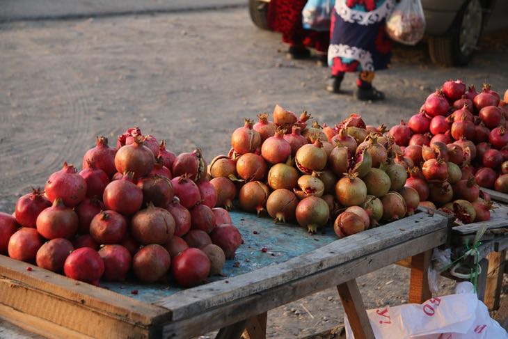 uzbekistan autumn