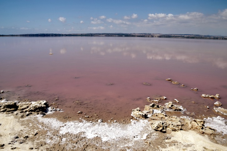 pink lake spain