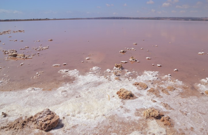 pink lake torrevieja