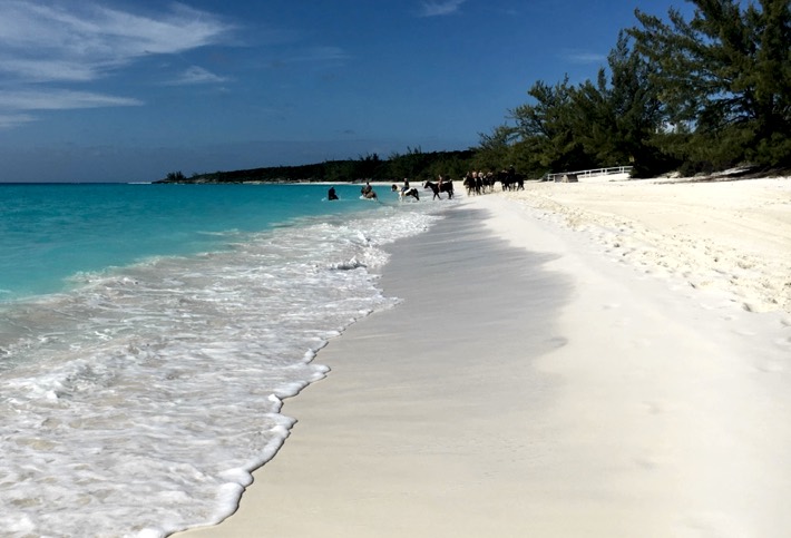 half moon cay beach