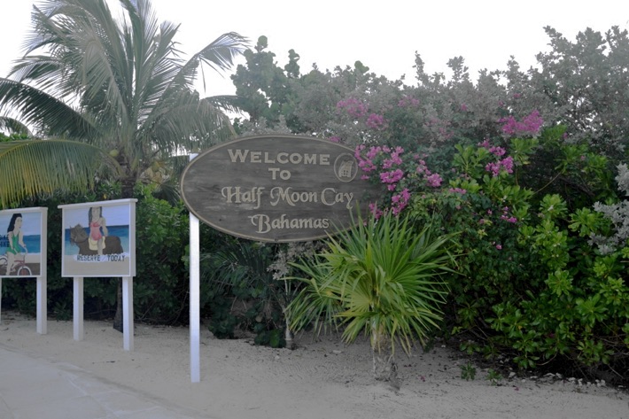 half moon cay port