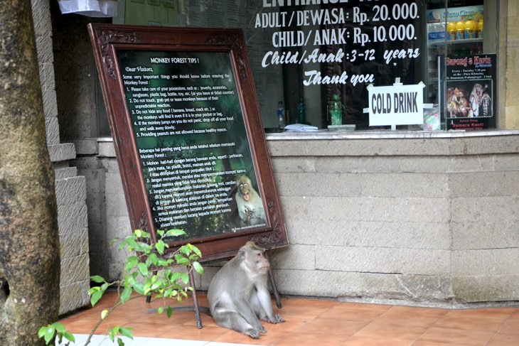 bali park entrance