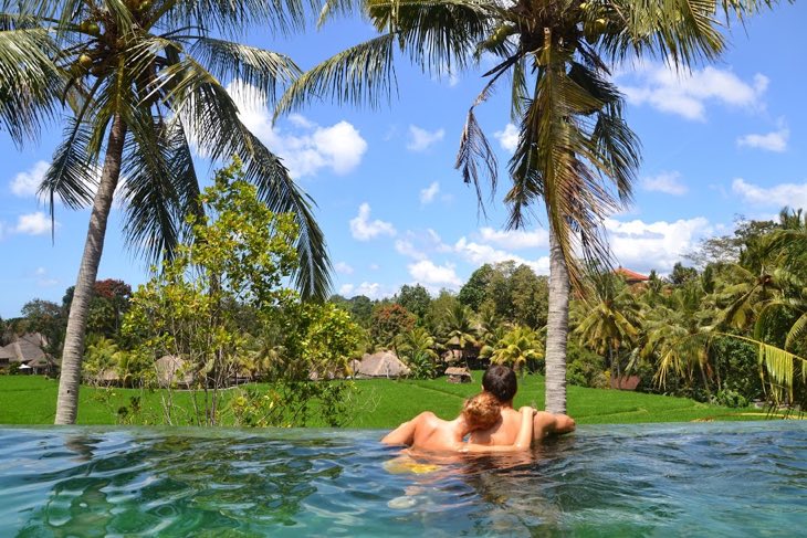 ubud rice field view