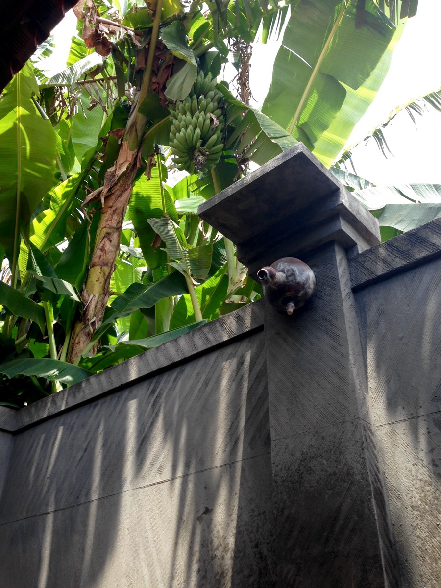 fruits in bathroom bali