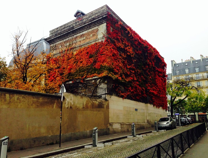 paris late october 