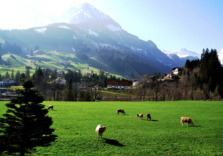 Швейцария холмы равнины Интерлакен