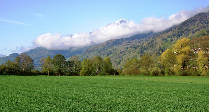 Malans panorama