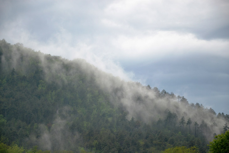 mist on the road