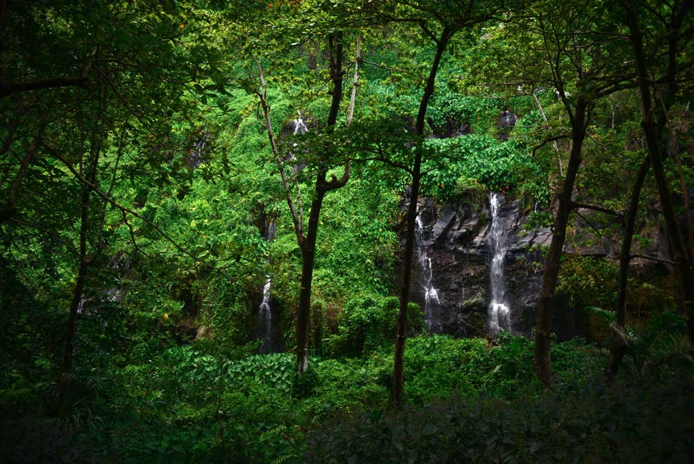 waterfalls forest anse des cascades