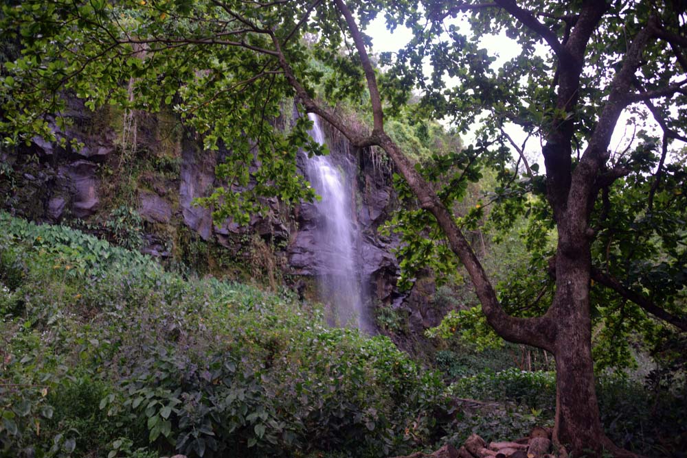 waterfalls reunion anse des cascades