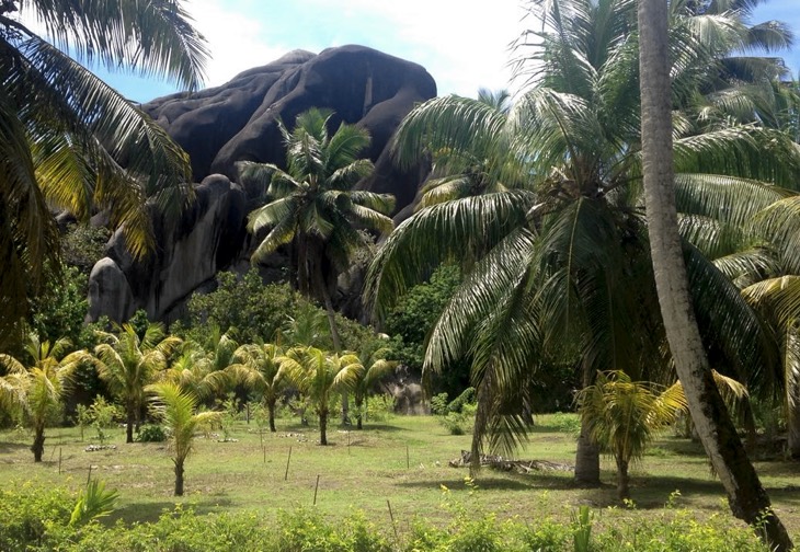 park la digue