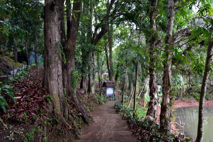 parks madagascar