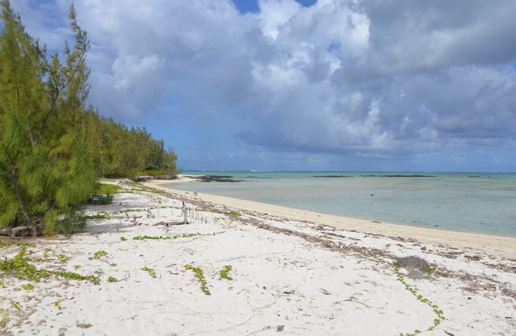 ile aux cerfs mauritius