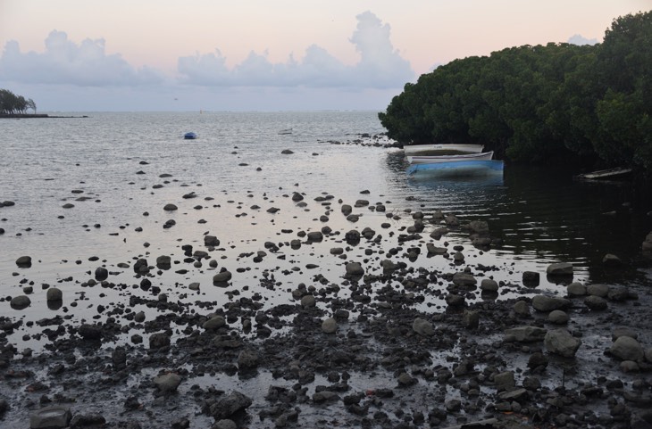 quiet mauritius