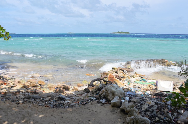 litter rasdhoo