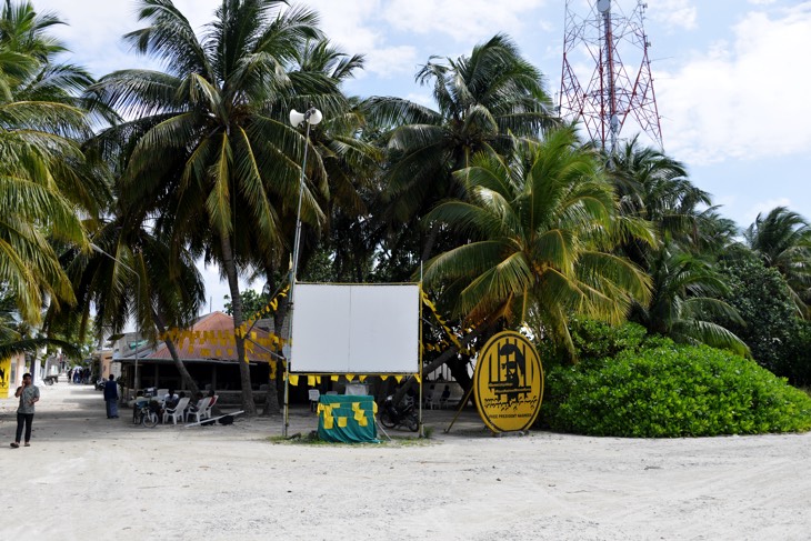 rasdhoo maldives palm trees