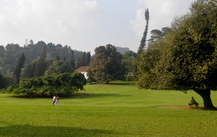 botanical garden kandy