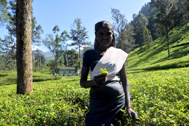 tamil women sri lanka