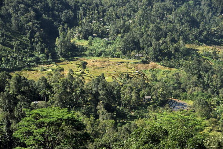 view points sri lanka