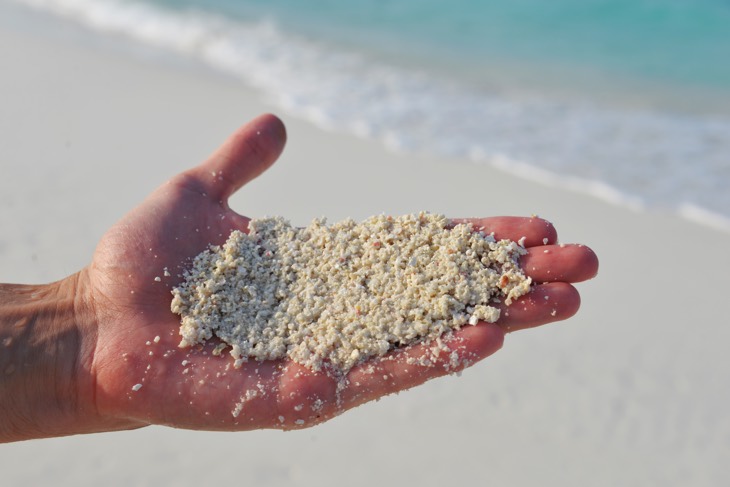 sand bank maldives что это. Смотреть фото sand bank maldives что это. Смотреть картинку sand bank maldives что это. Картинка про sand bank maldives что это. Фото sand bank maldives что это