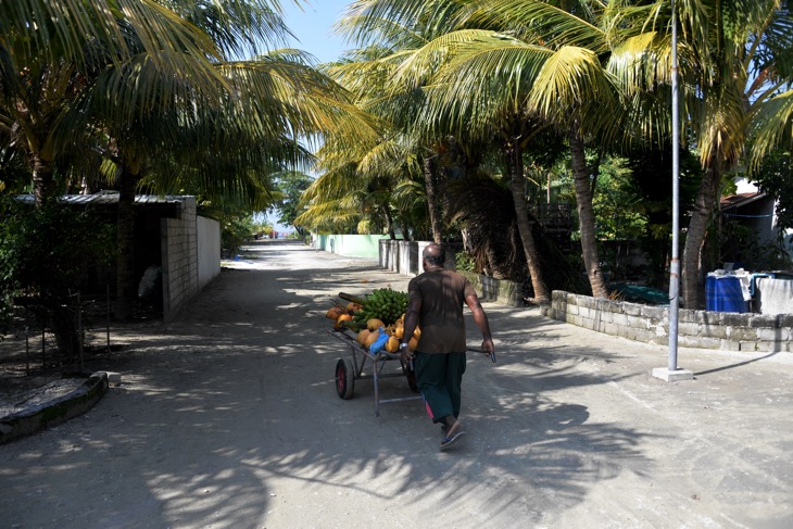 local life maldives maalhos