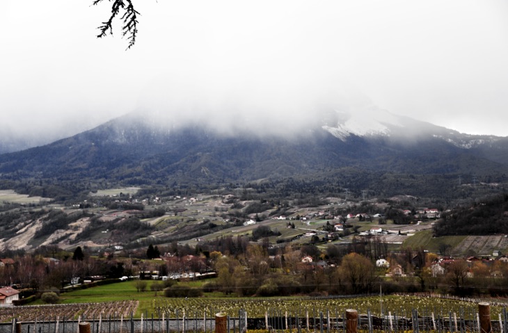 winery rhone alp