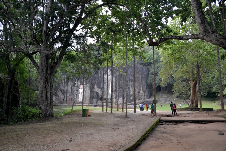 buddha forest sri lanka