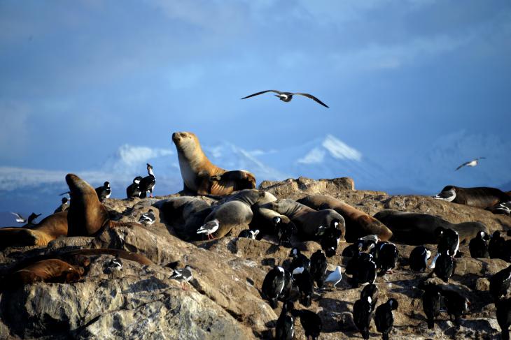 ushuaia photography