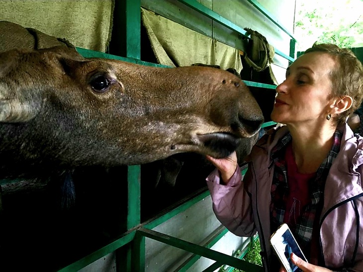 elk russia