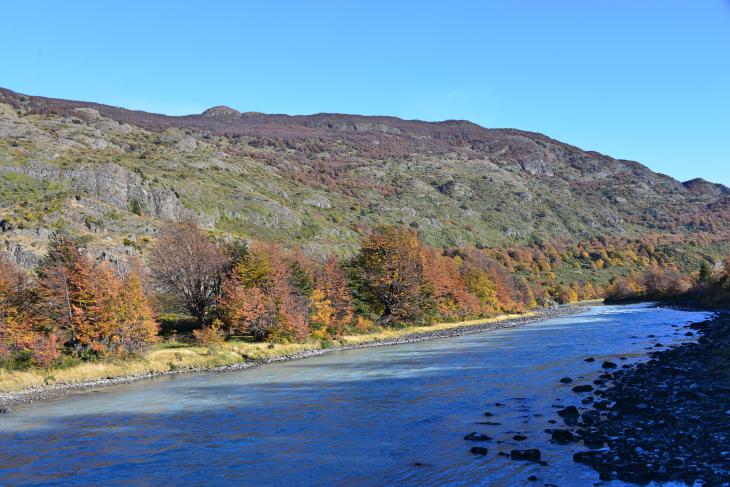 nature in chile