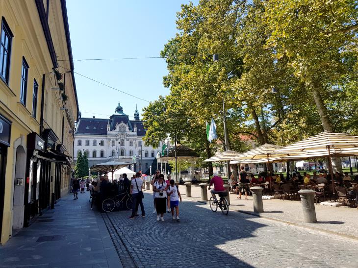 summer in ljubljana