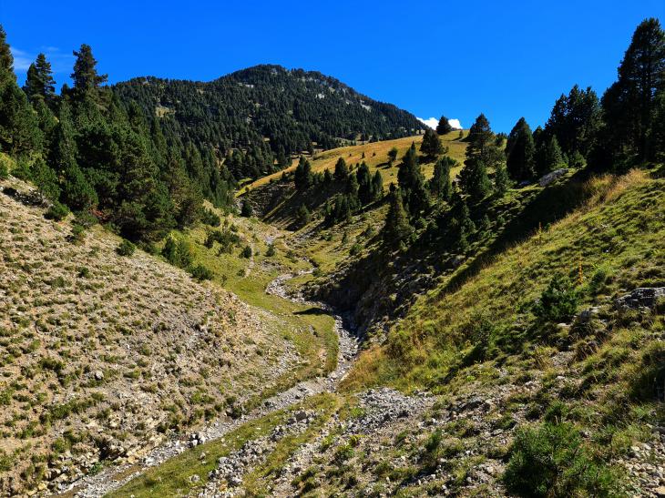 sendero francia